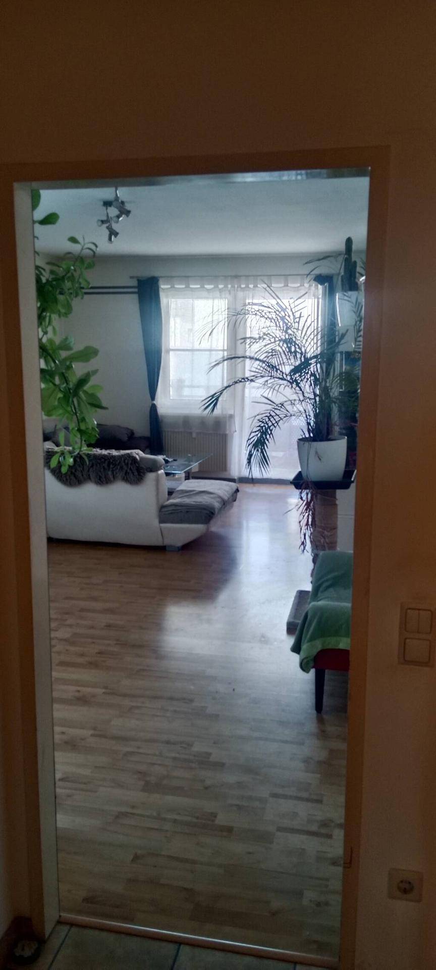395001_1000076550_chsi.jpg