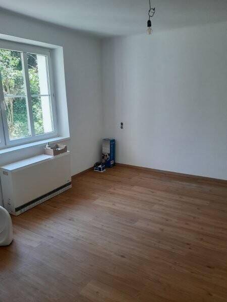 Leeres Zimmer mit Laminatboden, weißen Wänden und großem Fenster mit Blick ins Grüne.