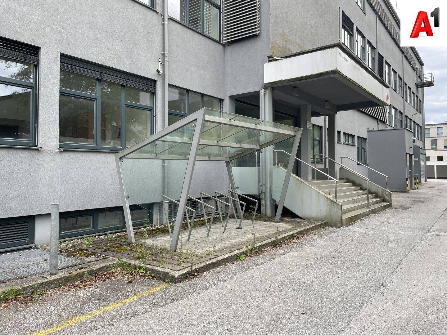 Slide 5