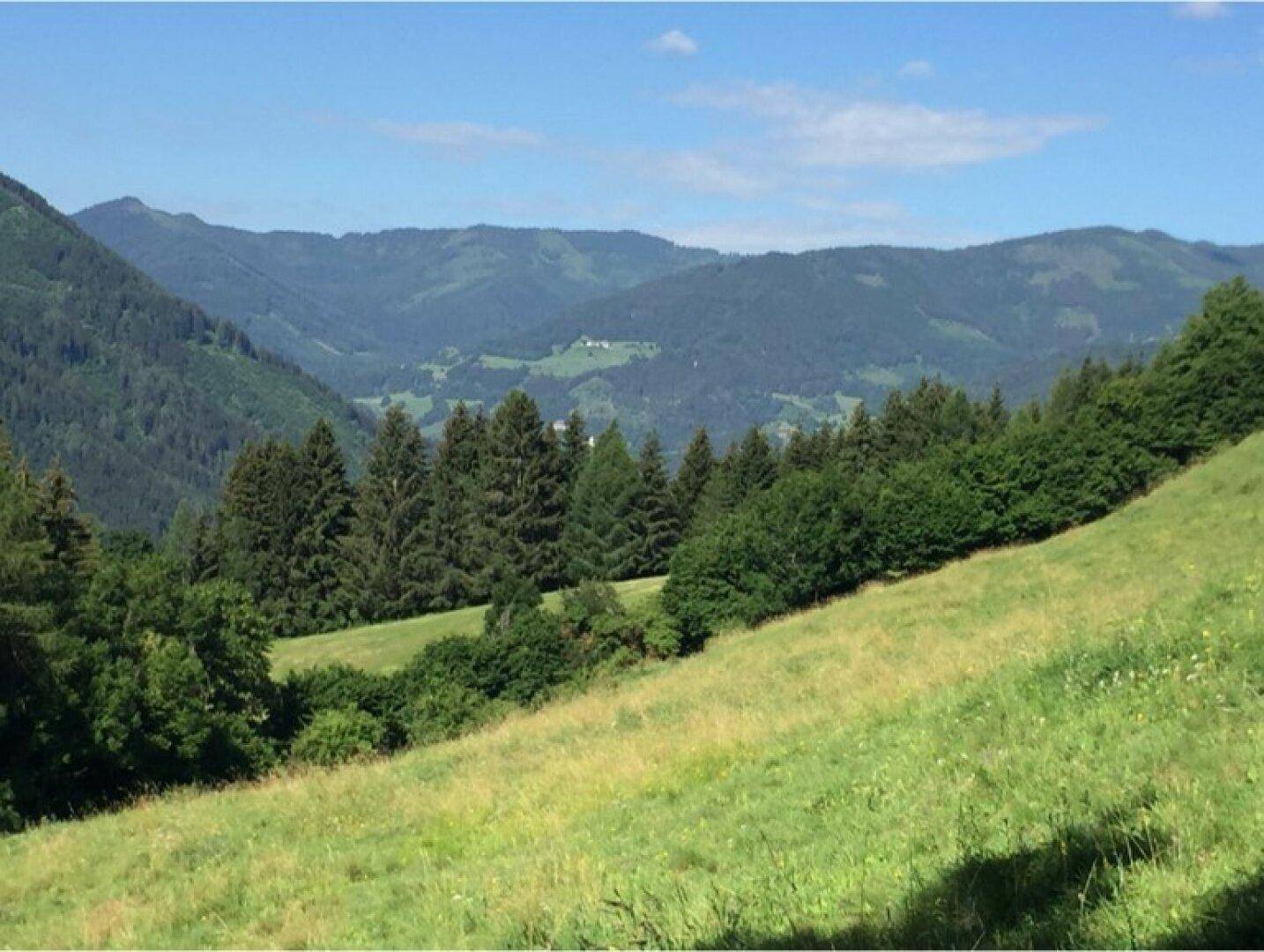 Grüne Hügellandschaft mit bewaldeten Bergen unter blauem Himmel, ideal für Naturliebhaber.