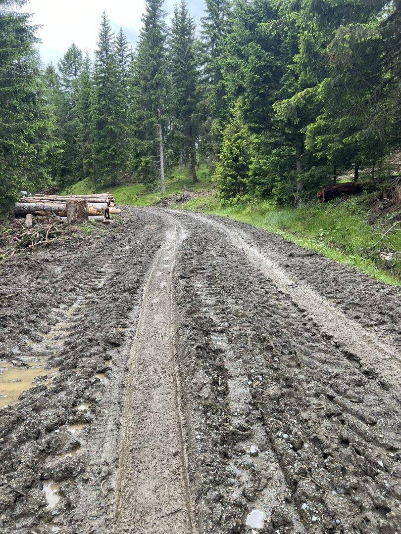 Wege werden nach dem Regenwetter saniert (geschotter und abgezogen)