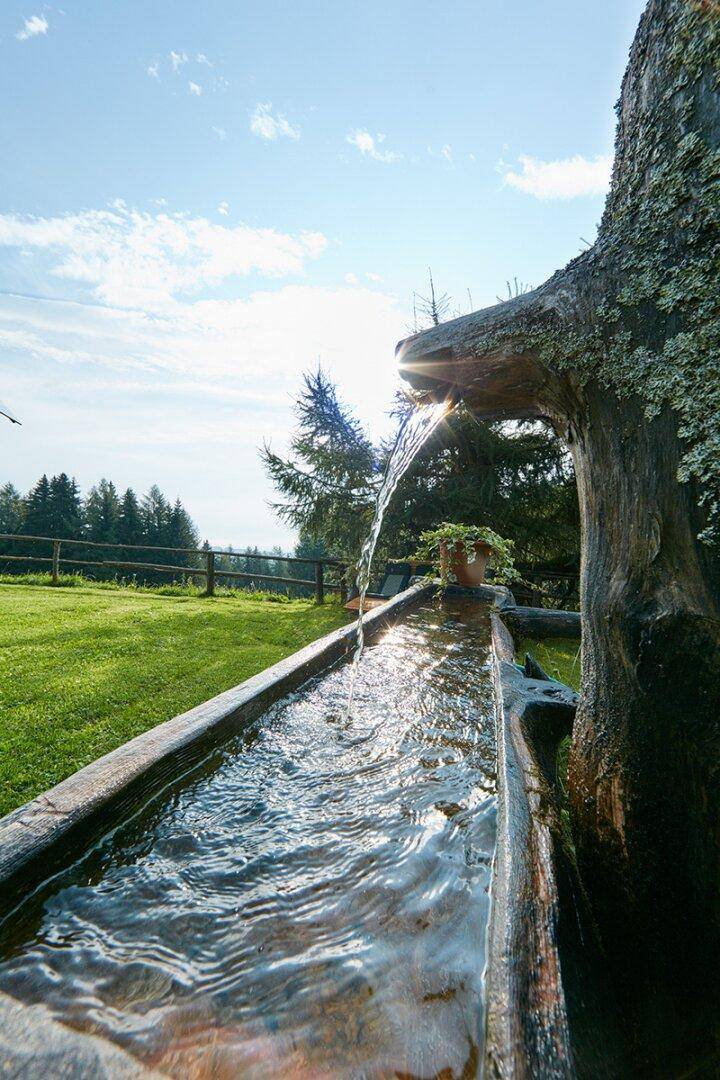 Detailaufnahme eines rustikalen Holzbrunnens mit fließendem Wasser in einer grünen Umgebung.