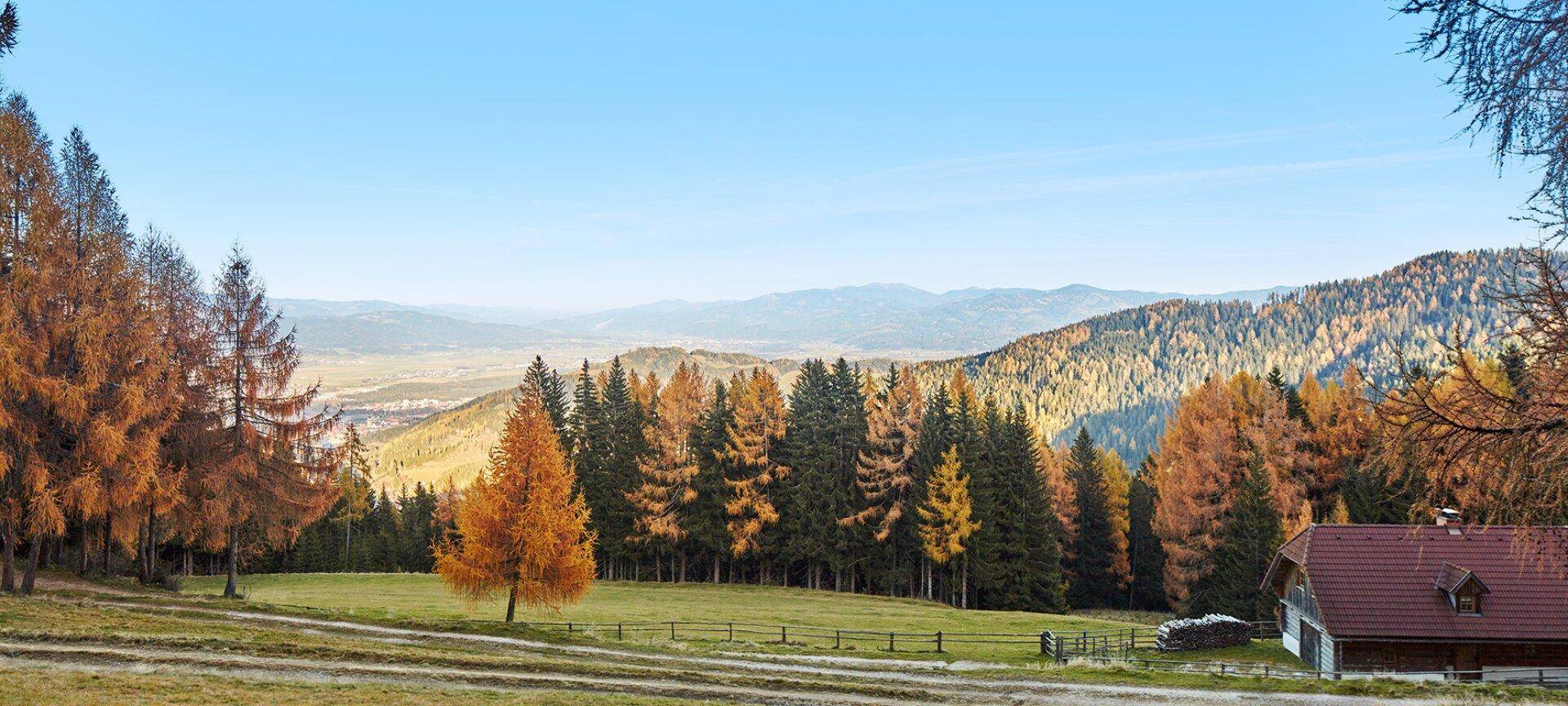 Malerische Herbstlandschaft mit bunten Bäumen und Bergen im Hintergrund, ein Hausdach ist sichtbar.