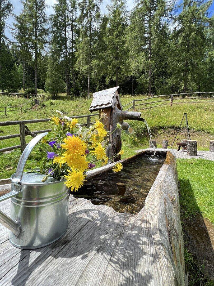 Idyllischer Gartenbereich mit Holzbrunnen, Blumen und einer Gießkanne in sonniger Umgebung.