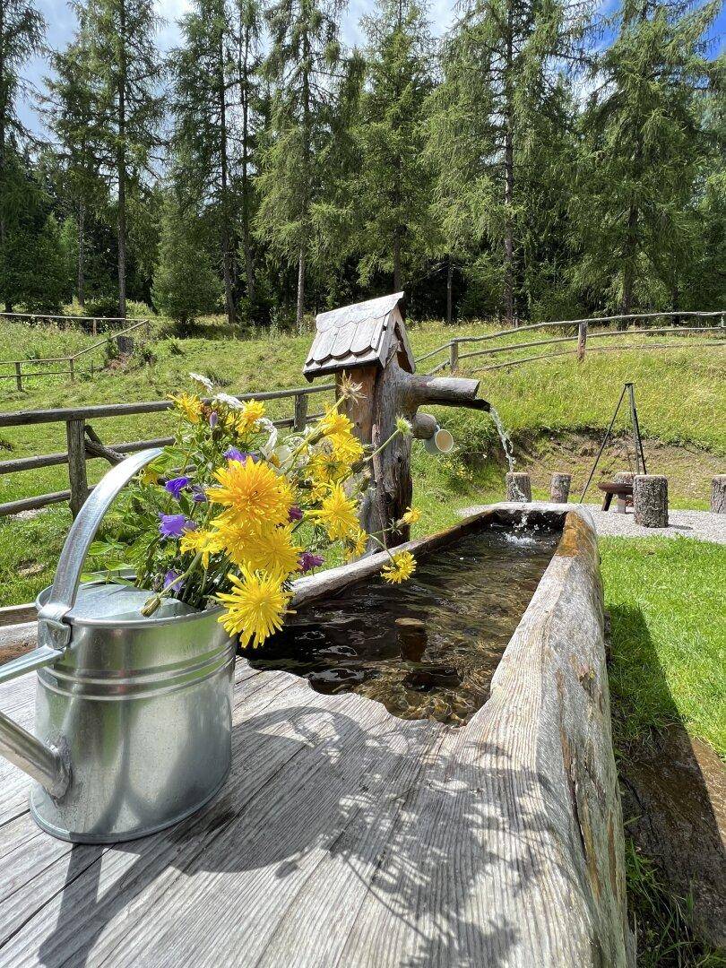 Brunnen vor dem Haus