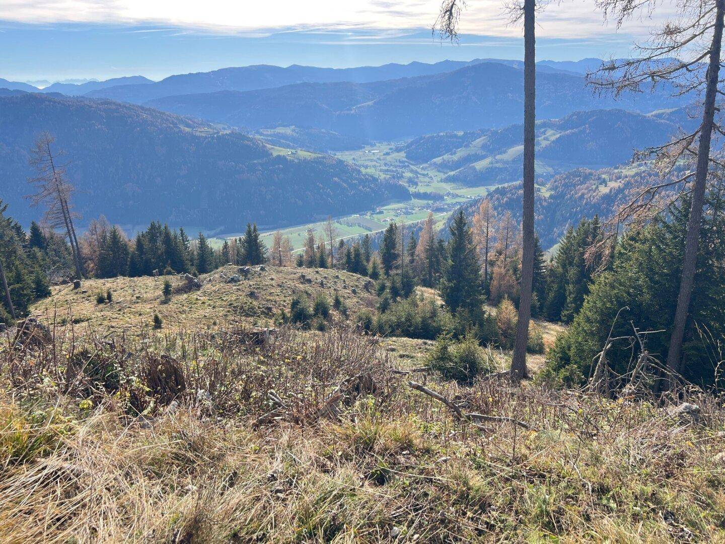 Panoramablick über ein grünes Tal mit bewaldeten Hügeln unter einem klaren blauen Himmel.