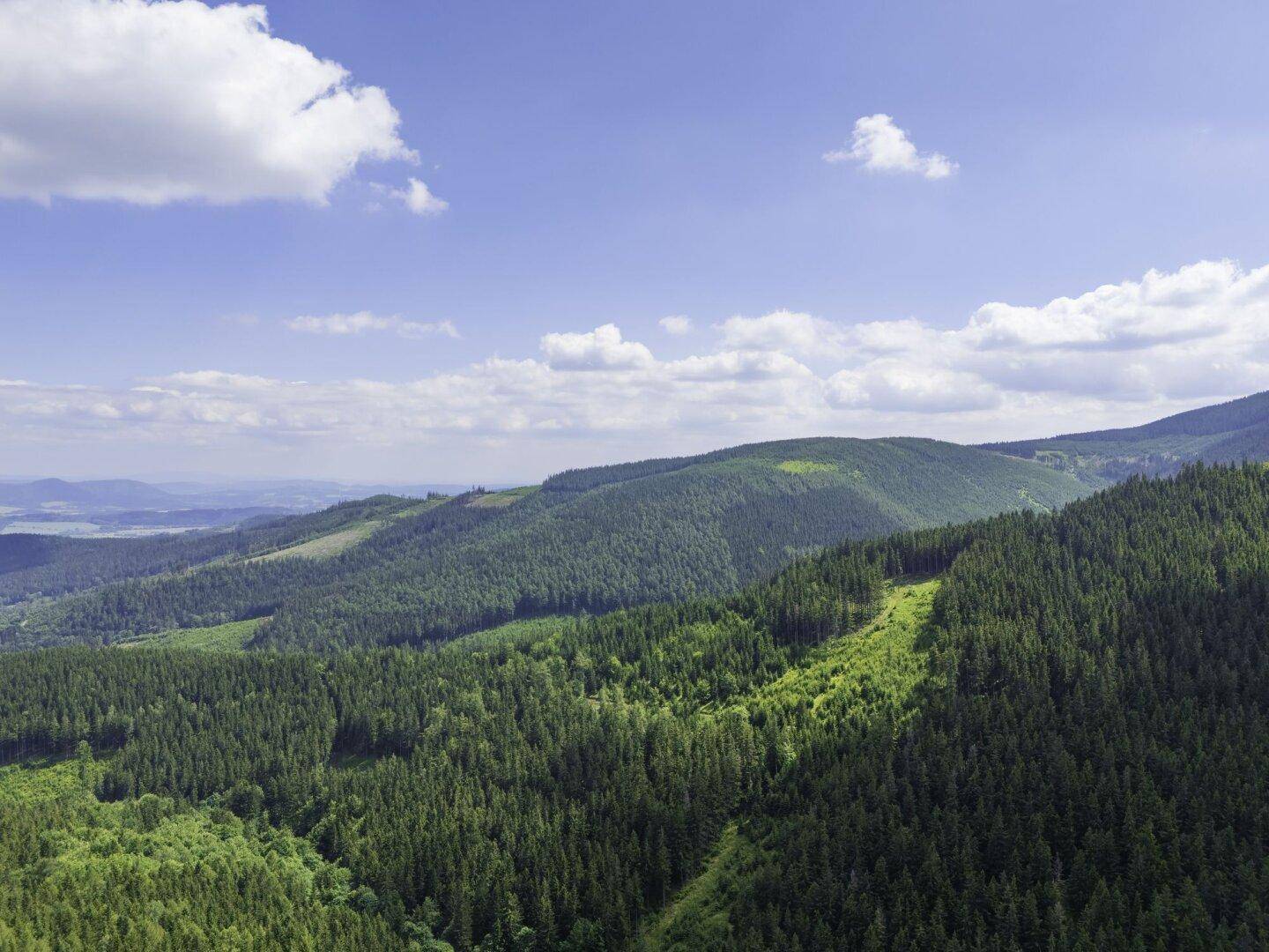 Symbolfoto Ausblick