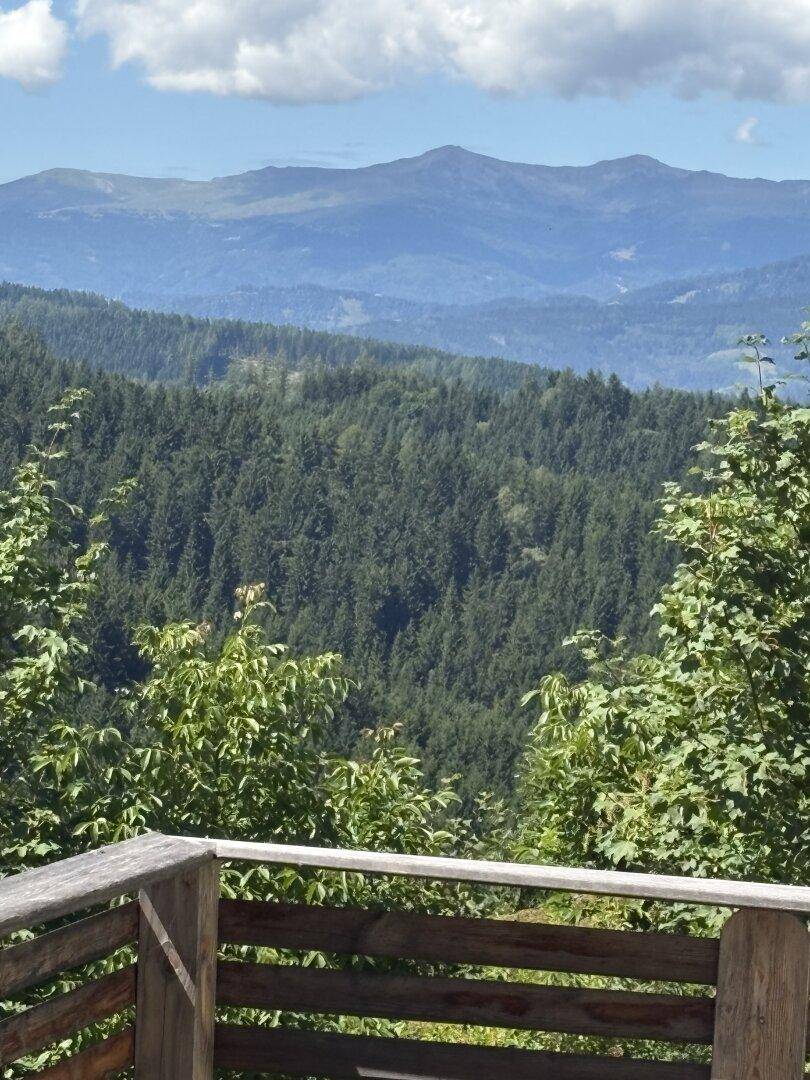 Aussicht von einem Holzbalkon auf dichte Wälder und eine beeindruckende Berglandschaft.