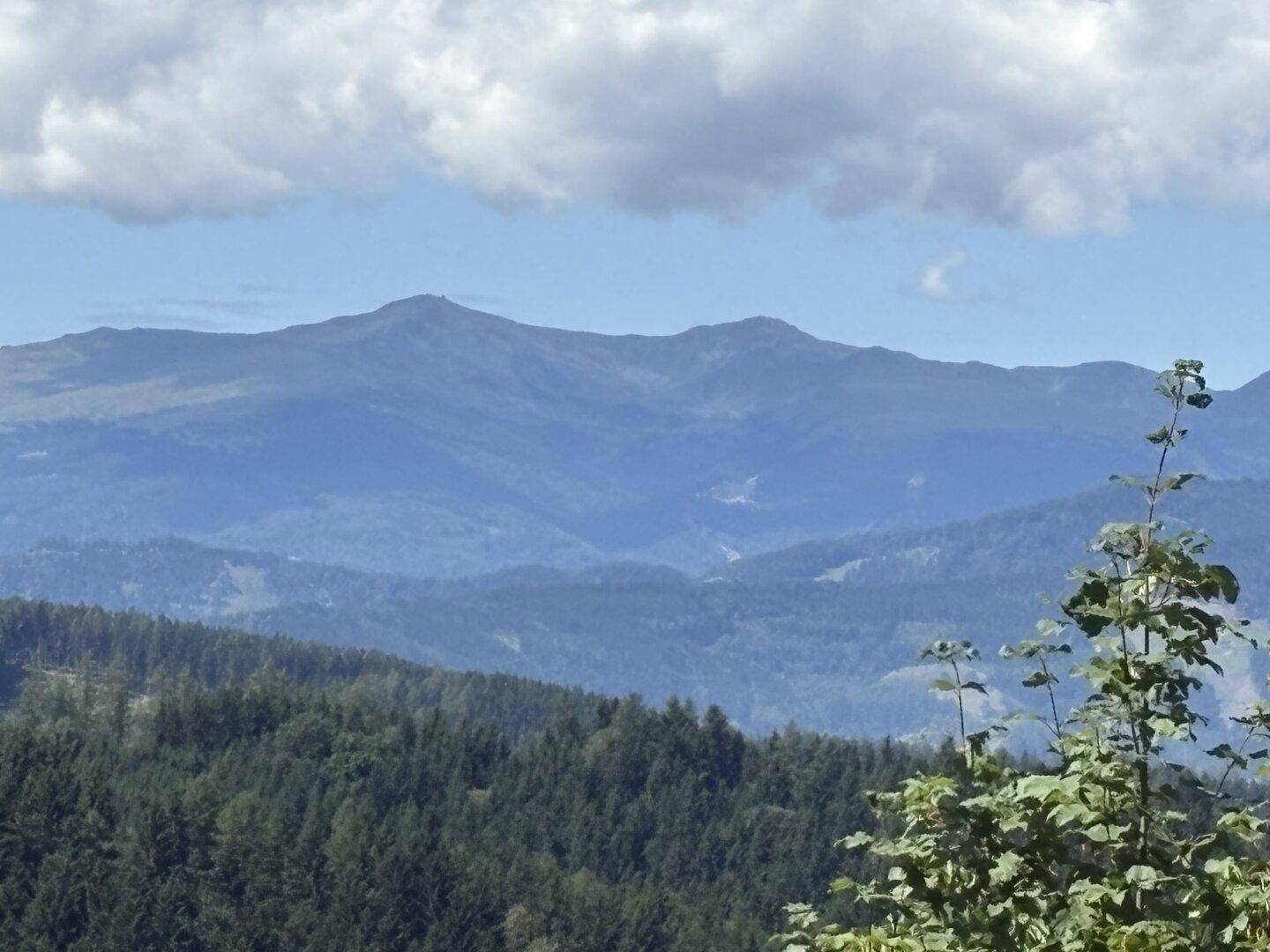 Weitläufiger Blick auf majestätische blaue Berge und dichte grüne Wälder unter einem bewölkten Himmel.