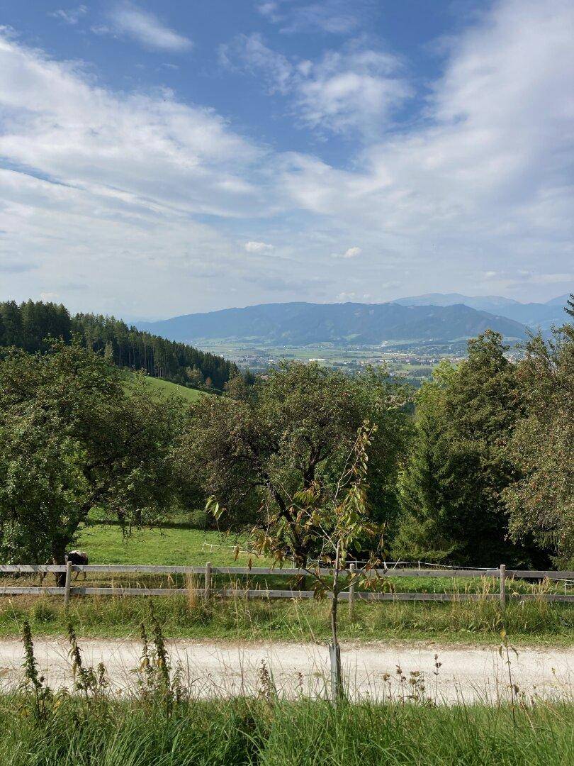 Panoramablick über ein grünes Tal mit Feldern, Bäumen und einer Bergkette am Horizont.