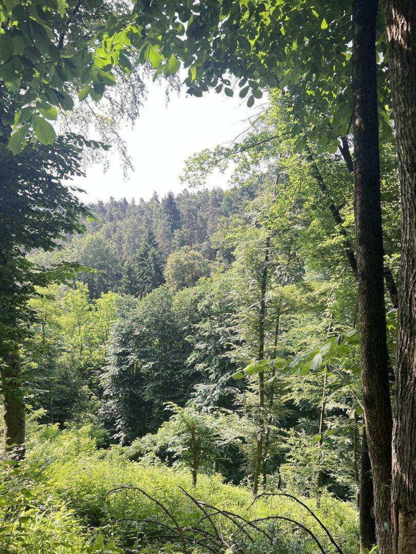 Slide 8