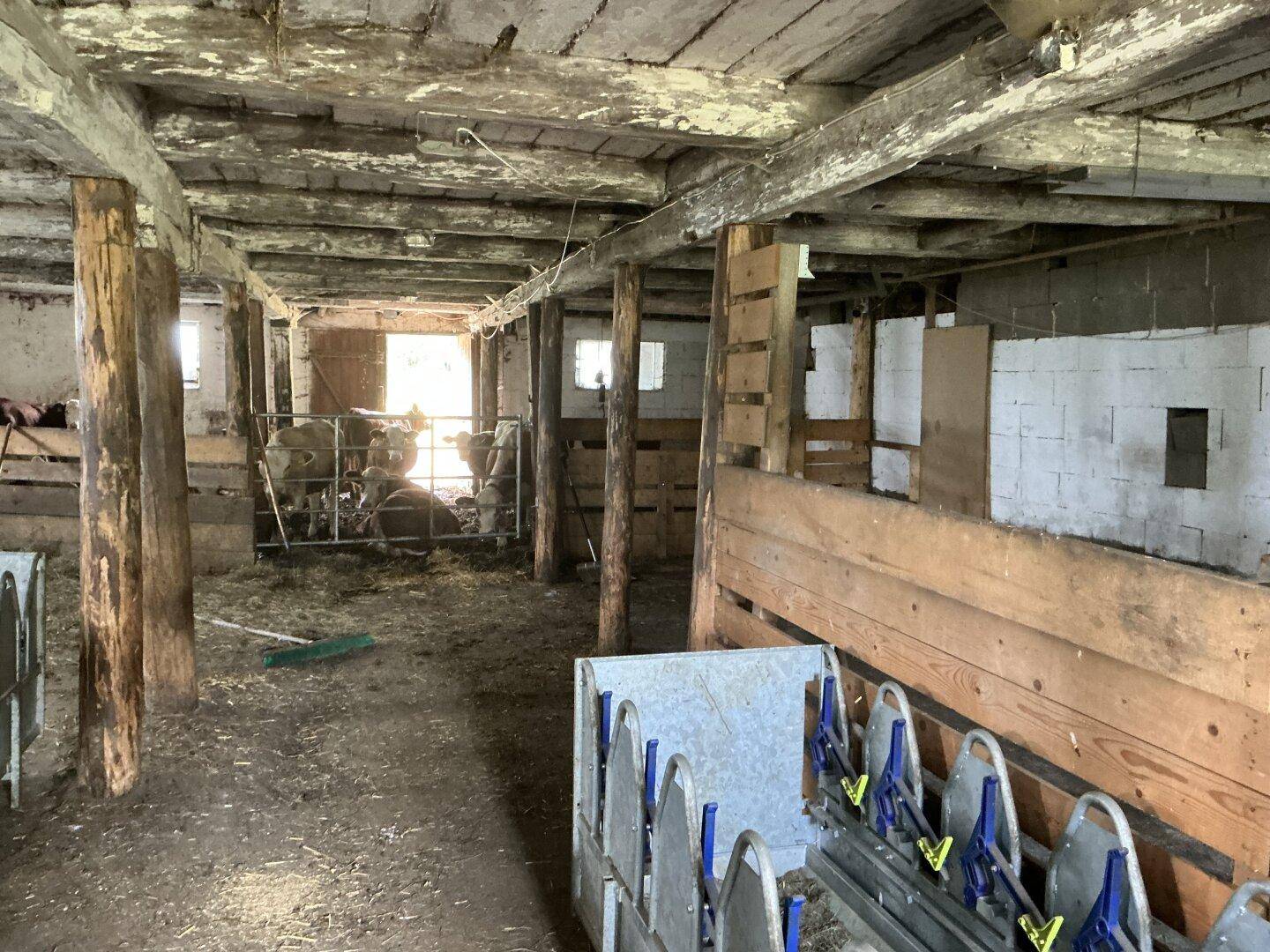 Rustikaler Innenraum eines alten Stalls mit Holzbalken, Erdboden und Tierboxen.