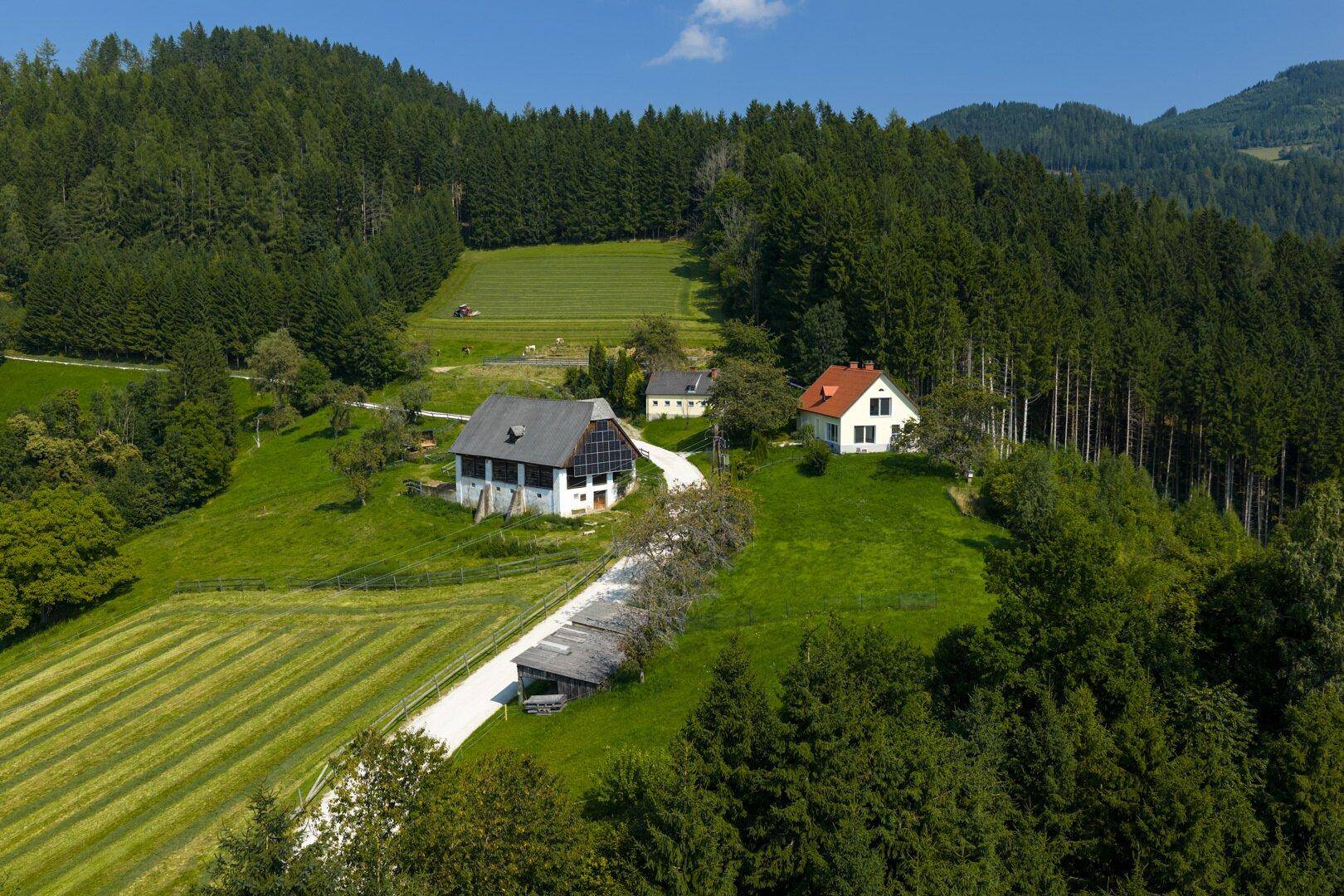 Luftaufnahme eines Anwesens mit zwei Häusern, umgeben von grünen Hügeln und Wäldern unter blauem Himmel.