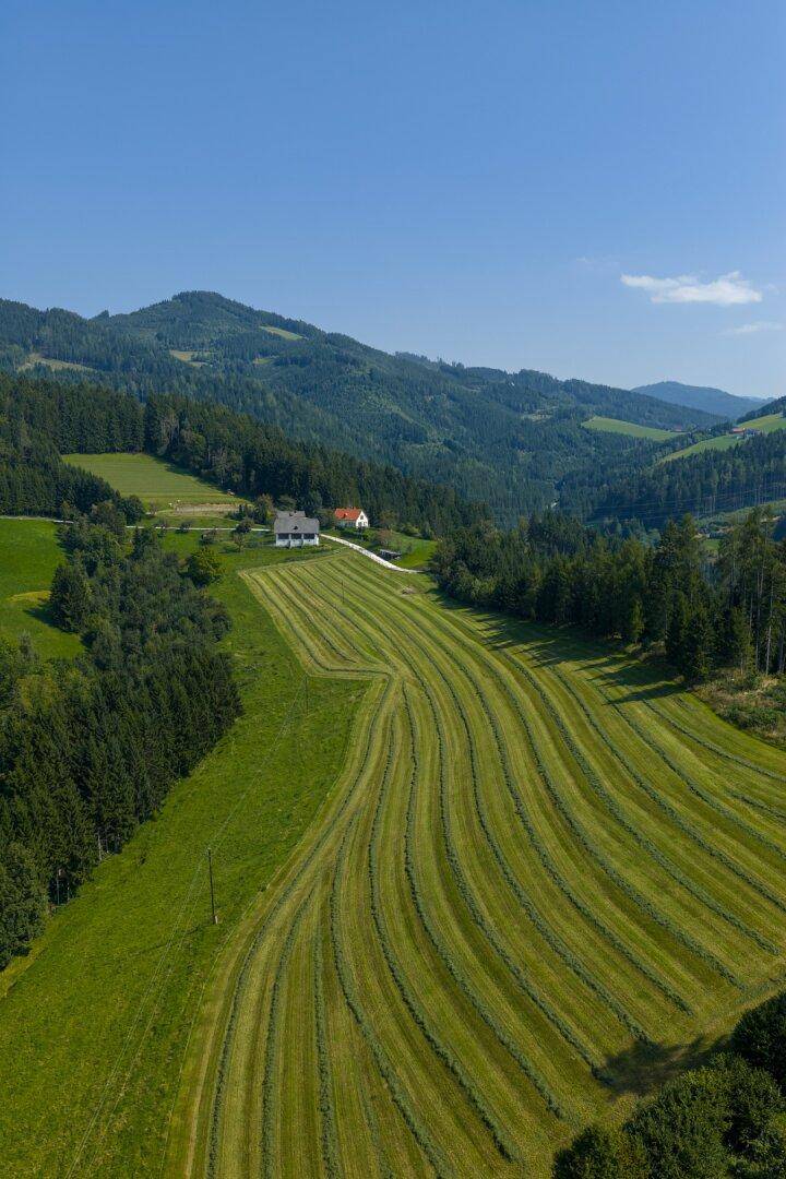 Weitläufige Landschaftsaufnahme eines Tals mit gemähten Feldern, dichten Wäldern und Bergen im Hintergrund.