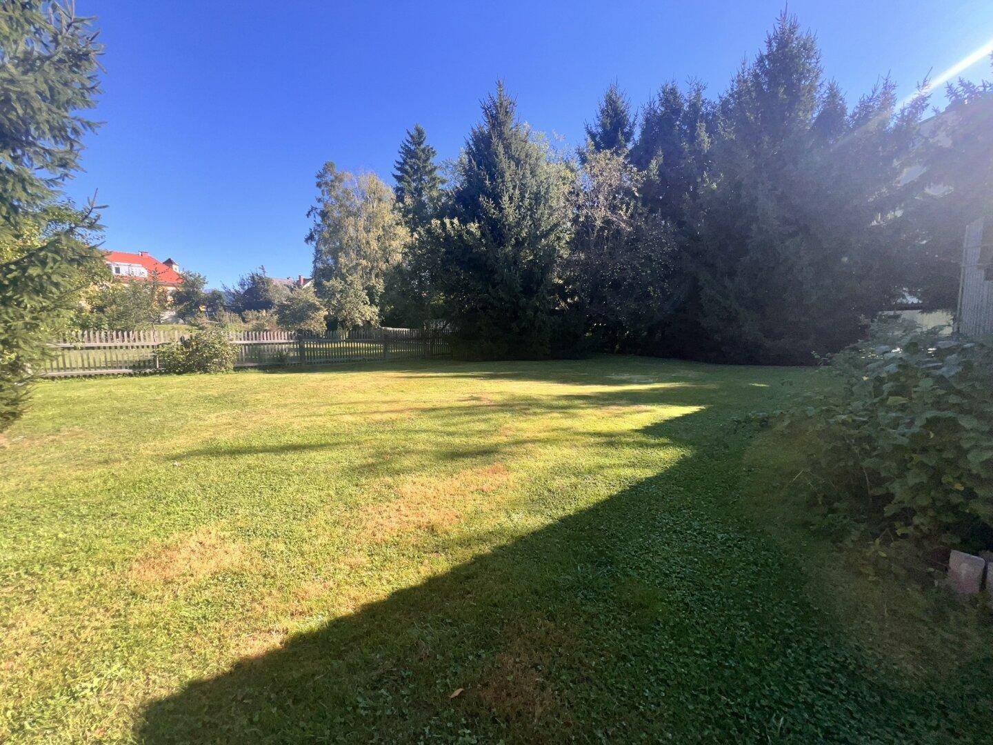 Sonnige Rasenfläche im Garten, umgeben von Bäumen und einem Holzzaun im Hintergrund.