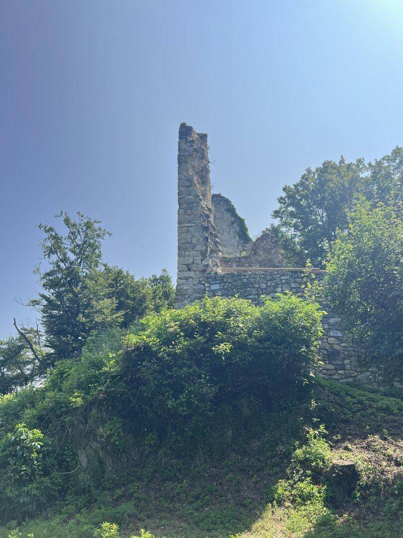 Alte Steinruine auf einem bewachsenen Hügel unter klarem blauem Himmel, umgeben von Bäumen.
