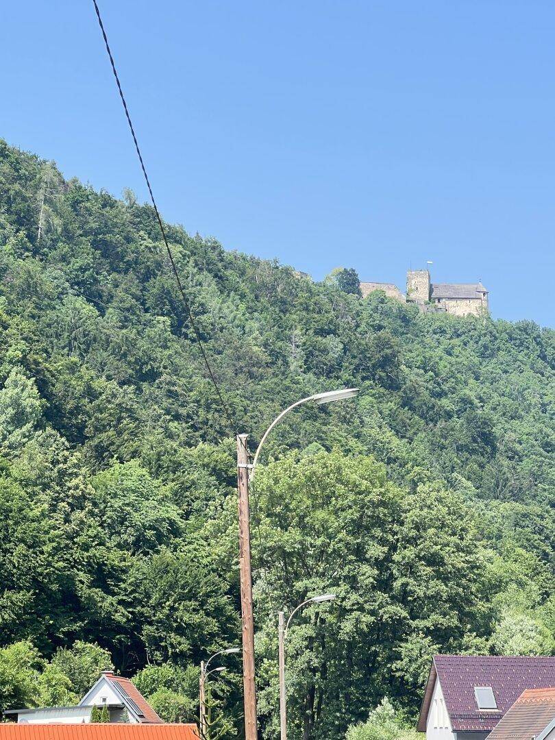 Eine Burgruine thront auf einem bewaldeten Hügel, sichtbar über den Dächern einer Siedlung.