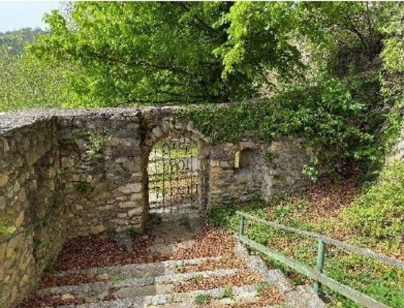 Ein alter steinerner Torbogen mit schmiedeeisernem Gitter in einer Burgmauer, umgeben von Grün.