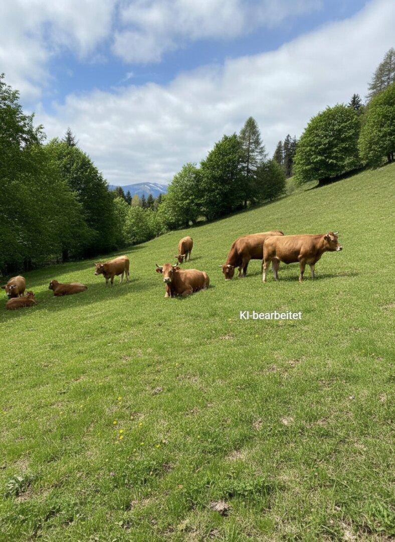 Kühe grasen auf einer sonnigen grünen Wiese mit Bäumen und schneebedeckten Bergen im fernen Hintergrund.