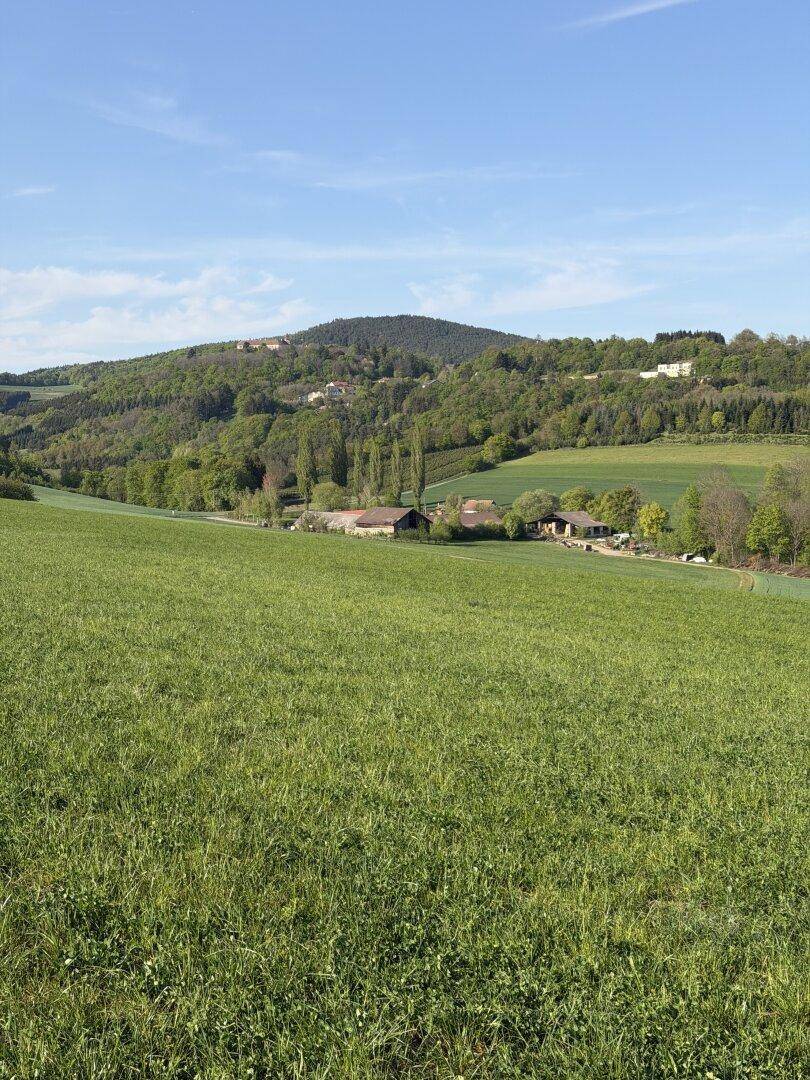 Weitläufige grüne Wiesen erstrecken sich bis zu den bewaldeten Hügeln mit vereinzelten Gebäuden am Horizont.