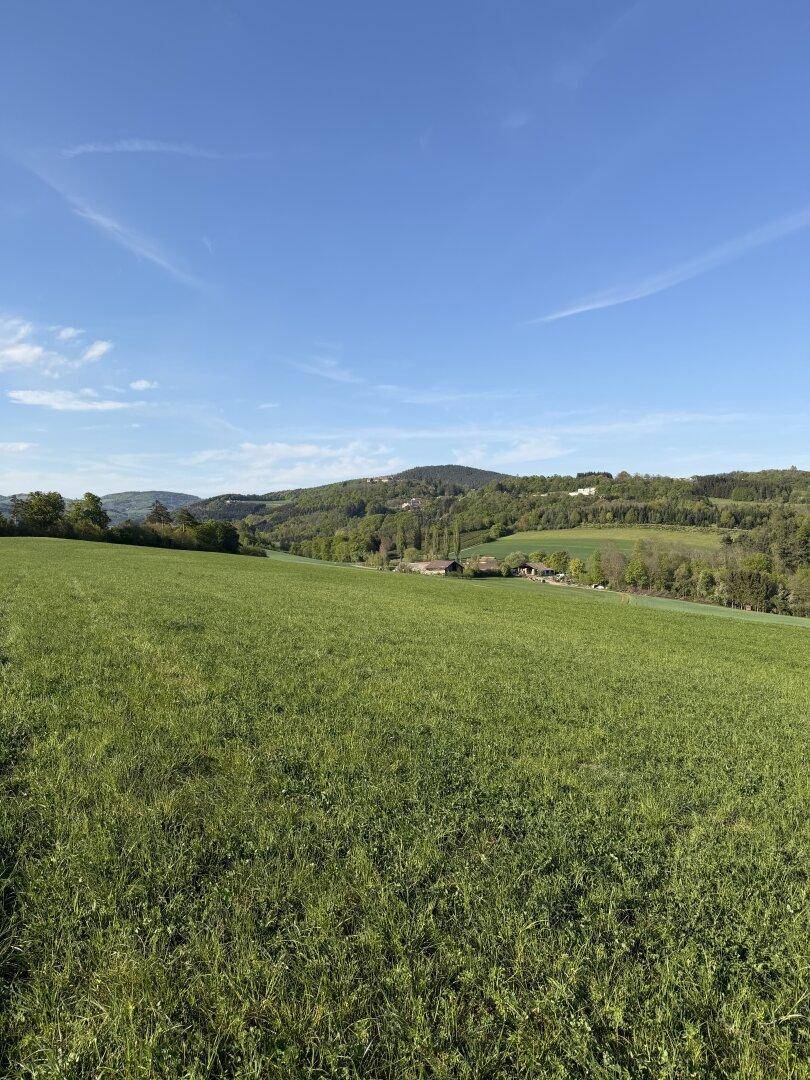 Ausgedehnte grüne Felder führen zu bewaldeten Hügeln und vereinzelten Gebäuden unter einem weiten blauen Himmel.