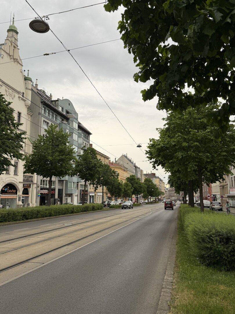 Weitläufige Stadtansicht einer breiten Straße mit Straßenbahnschienen, Bäumen und Gebäuden im Hintergrund.