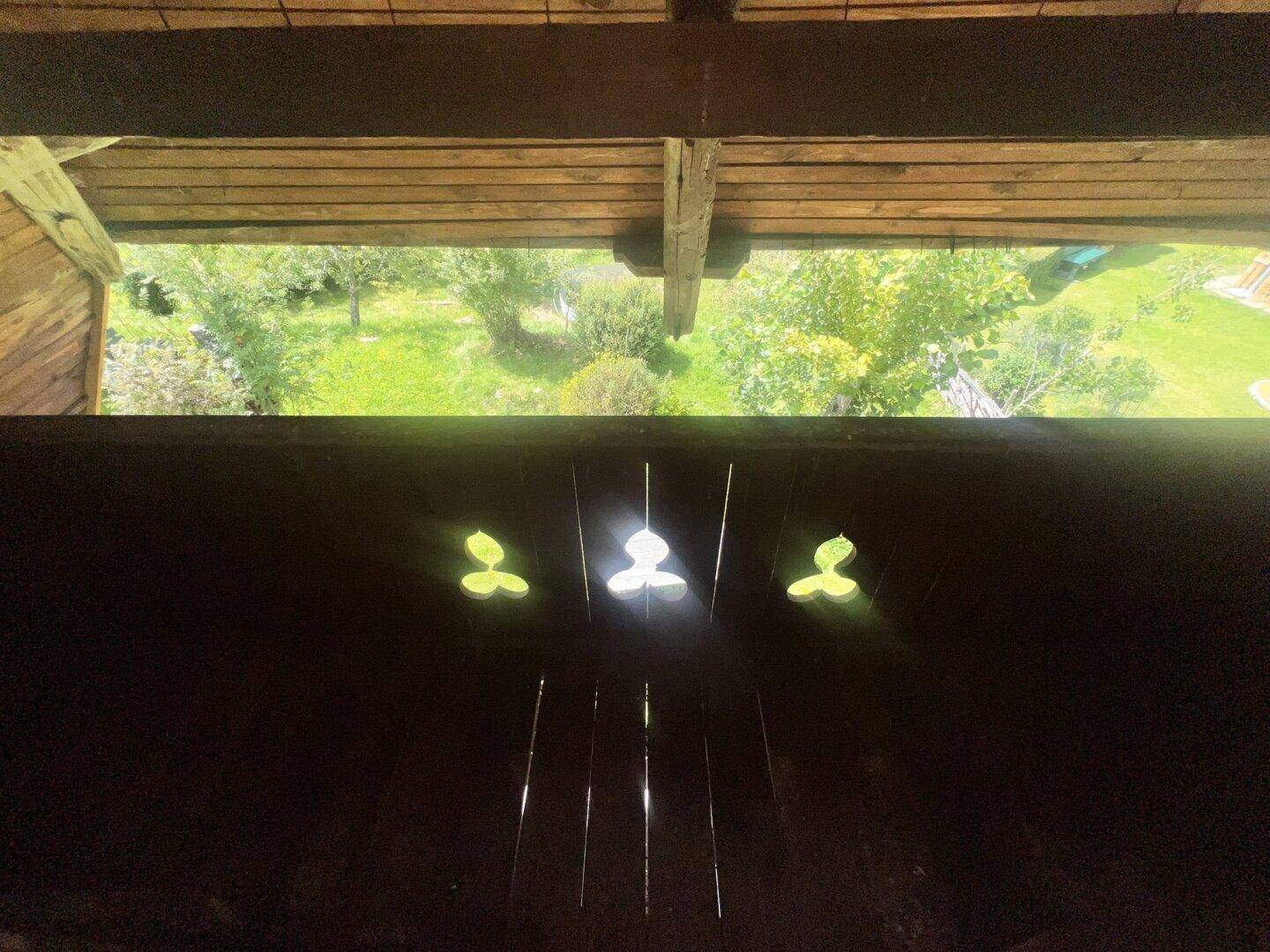 Blick aus einem Holzfenster auf die grüne Umgebung und den Gartenbereich.