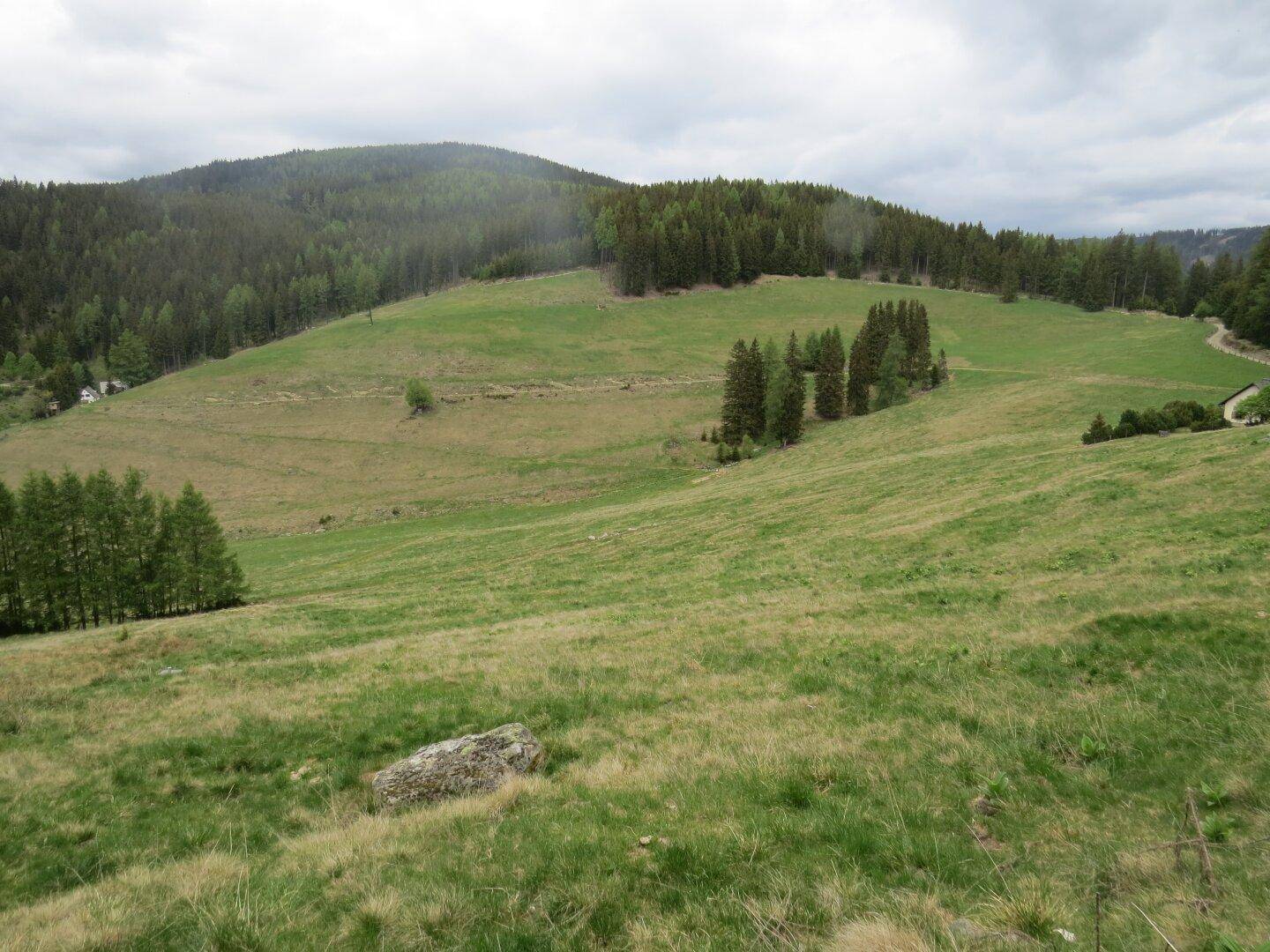 Weitläufige grüne Hügellandschaft mit Wäldern und einem großen Felsen im Vordergrund.