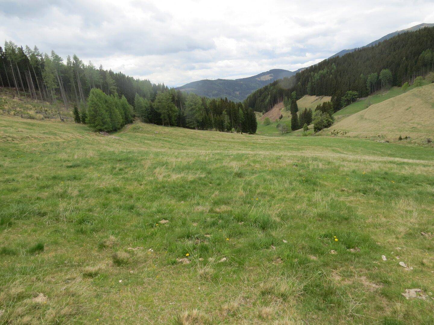 Malerisches Tal mit weiten grünen Wiesen und bewaldeten Berghängen unter bewölktem Himmel.
