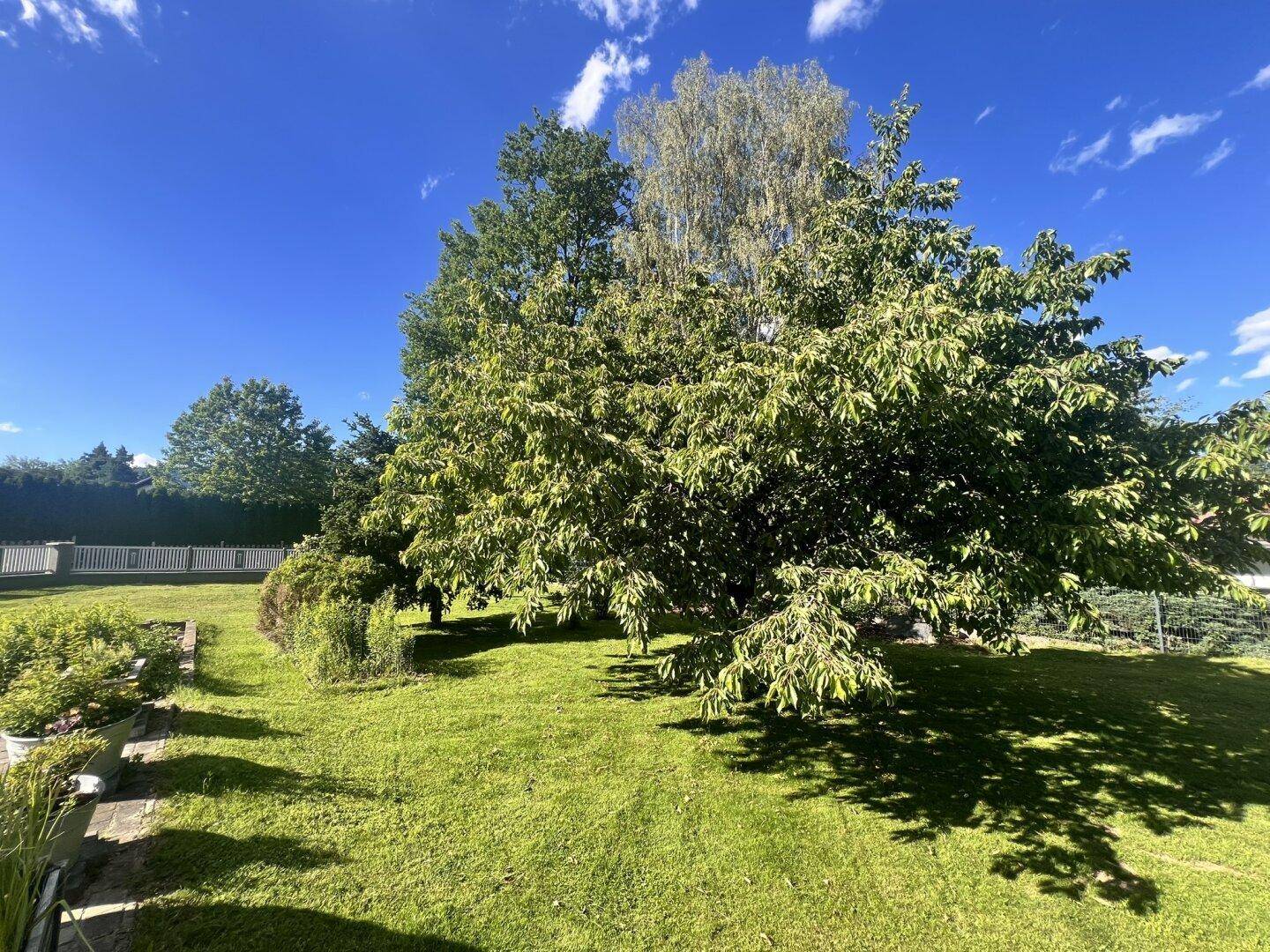 schönes Wohnhaus mit ruhigem Garten und Nebengebäude in Spielberg - Mehr