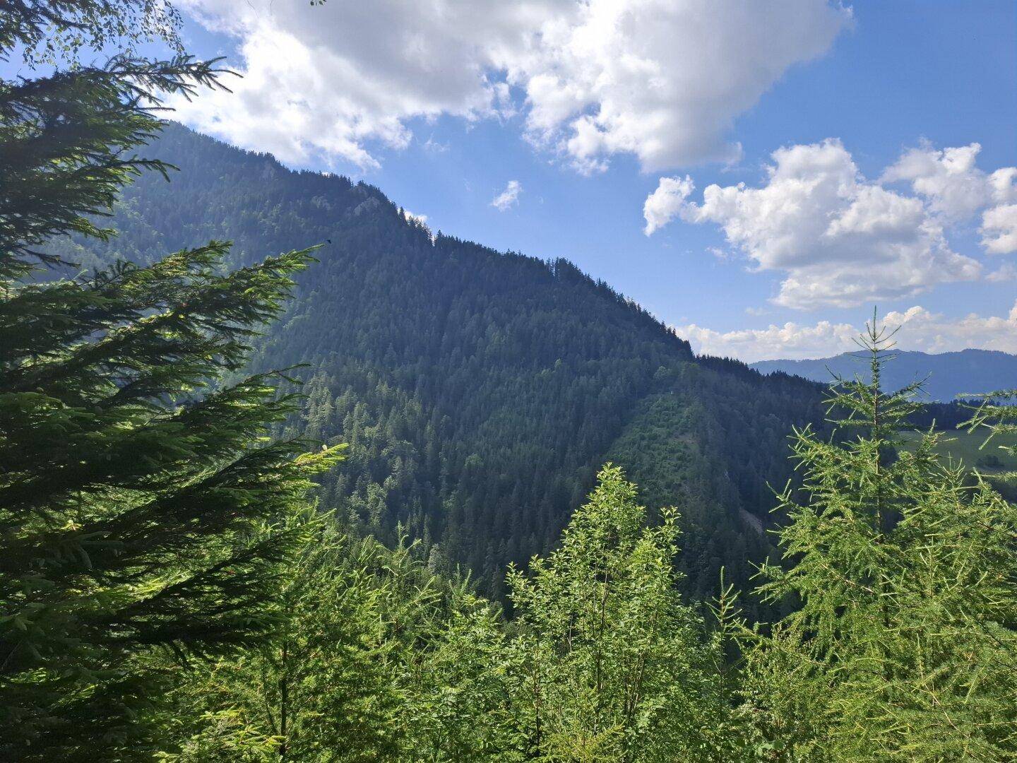 Eine weite Berglandschaft mit dichten Wäldern unter einem blauen Himmel mit weißen Wolken, umrahmt von Baumwipfeln.