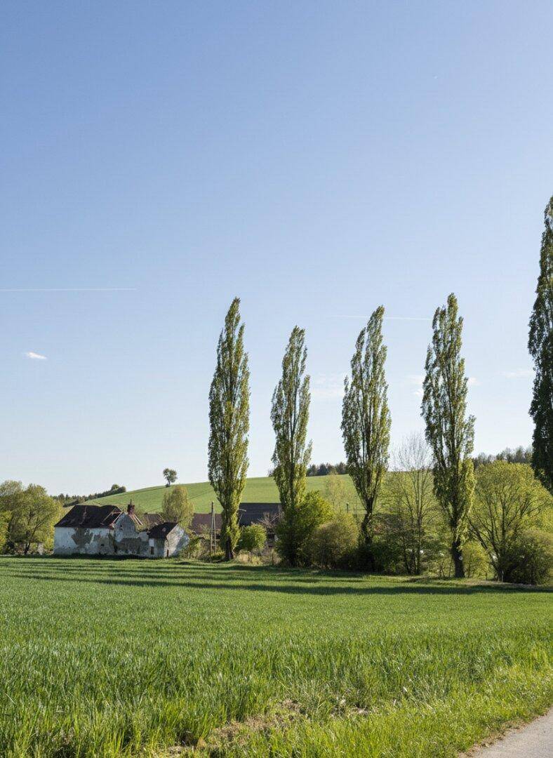 Ländliche Szene mit grünen Feldern, hohen Bäumen und einem alten Bauernhaus in der Ferne unter blauem Himmel.