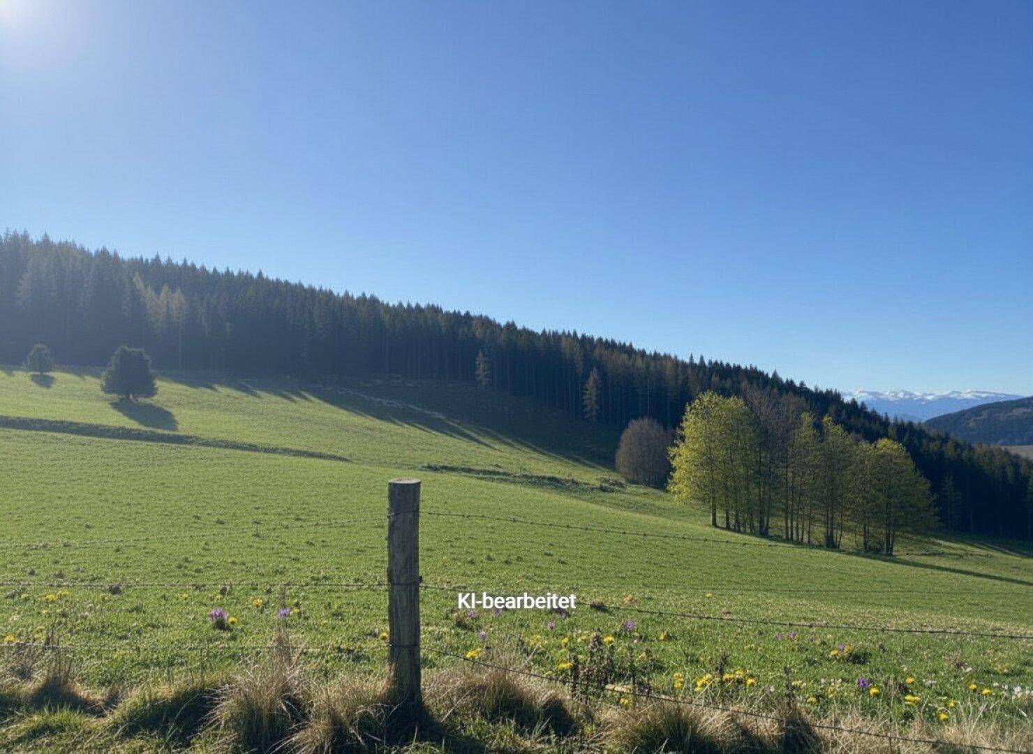 Weitläufige grüne Hügellandschaft mit dichtem Wald im Hintergrund und schneebedeckten Bergen am Horizont unter blauem Himmel.