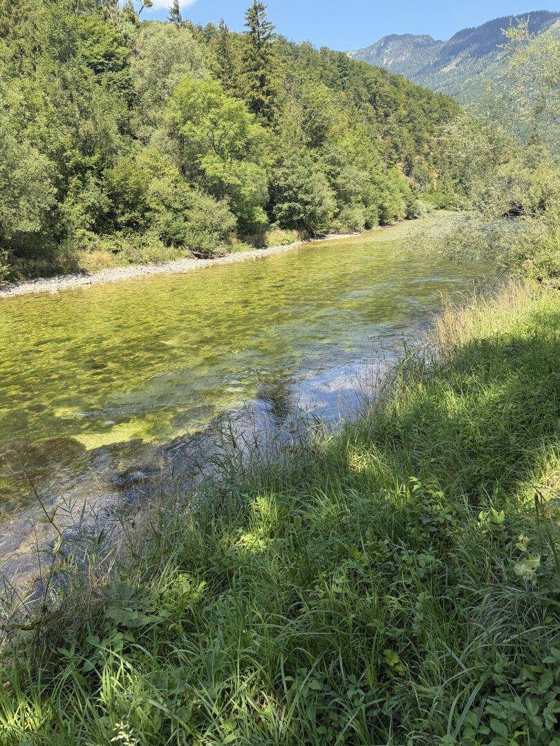 Weitläufige Flusslandschaft mit bewaldeten Ufern und Bergen unter blauem Himmel.