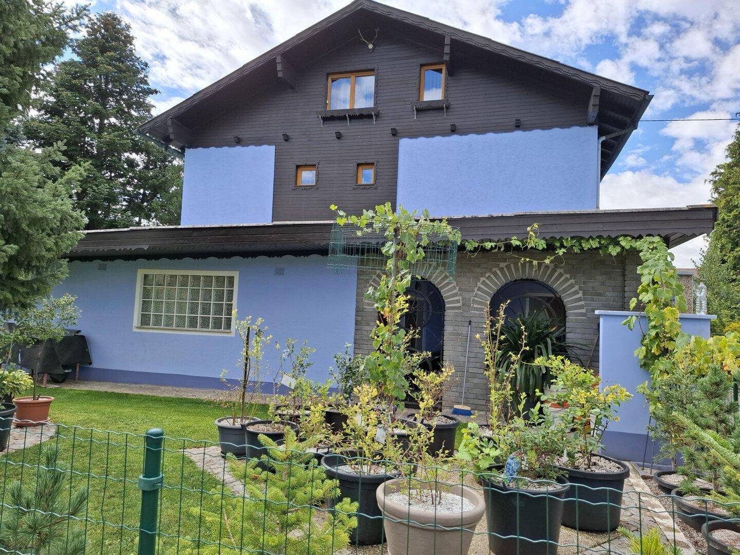 Rückansicht des blauen Hauses mit Gartenbereich, vielen Topfpflanzen und Steinverkleidung.