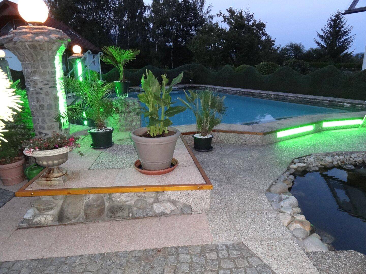 Abendliche Ansicht des Pools und Teichs mit stimmungsvoller Beleuchtung und Pflanzen.