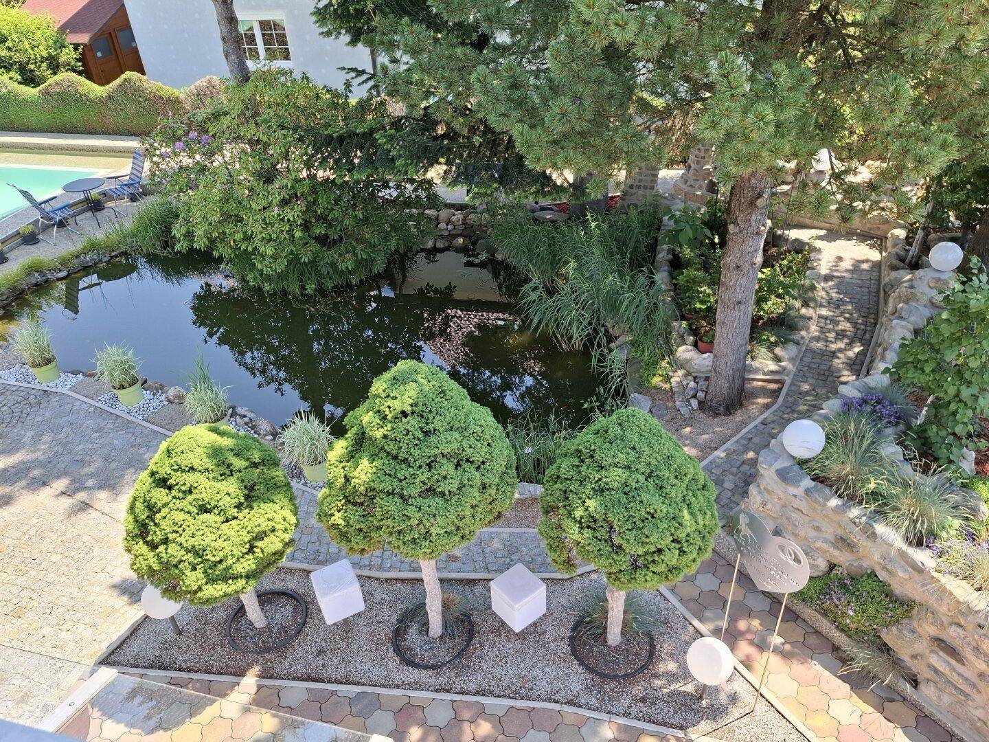 Gartenansicht von oben mit einem Teich, Bäumen und gepflasterten Wegen.