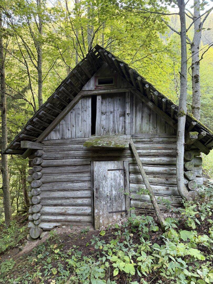 Eine alte, rustikale Holzhütte aus Baumstämmen, umgeben von Bäumen in einem Waldgebiet.