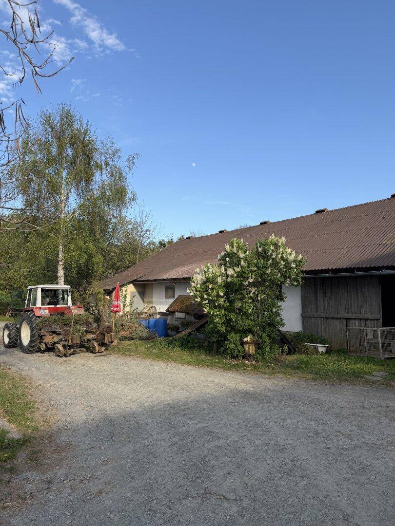 Ein roter Traktor steht auf einem Kiesweg vor einem Bauernhaus mit blühenden Büschen unter blauem Himmel.