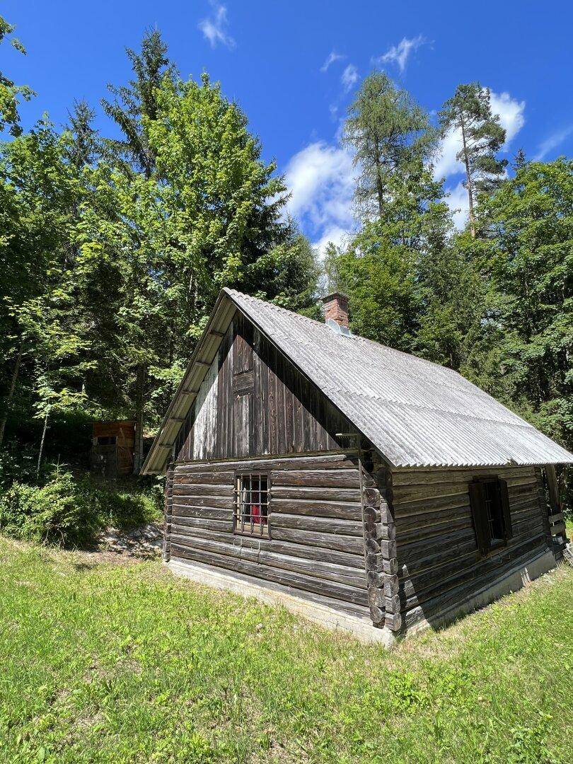 Rustikale Holzhütte mit Wellblechdach, umgeben von grünen Bäumen und Wiesen unter blauem Himmel.