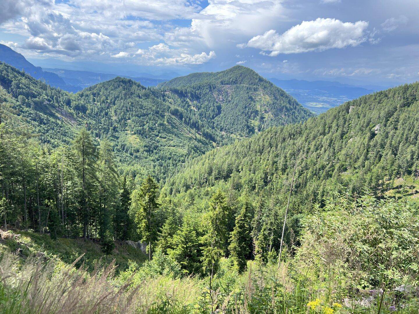 Weitläufige Berglandschaft mit bewaldeten Hügeln und einem Tal im Hintergrund unter einem bewölkten Himmel.