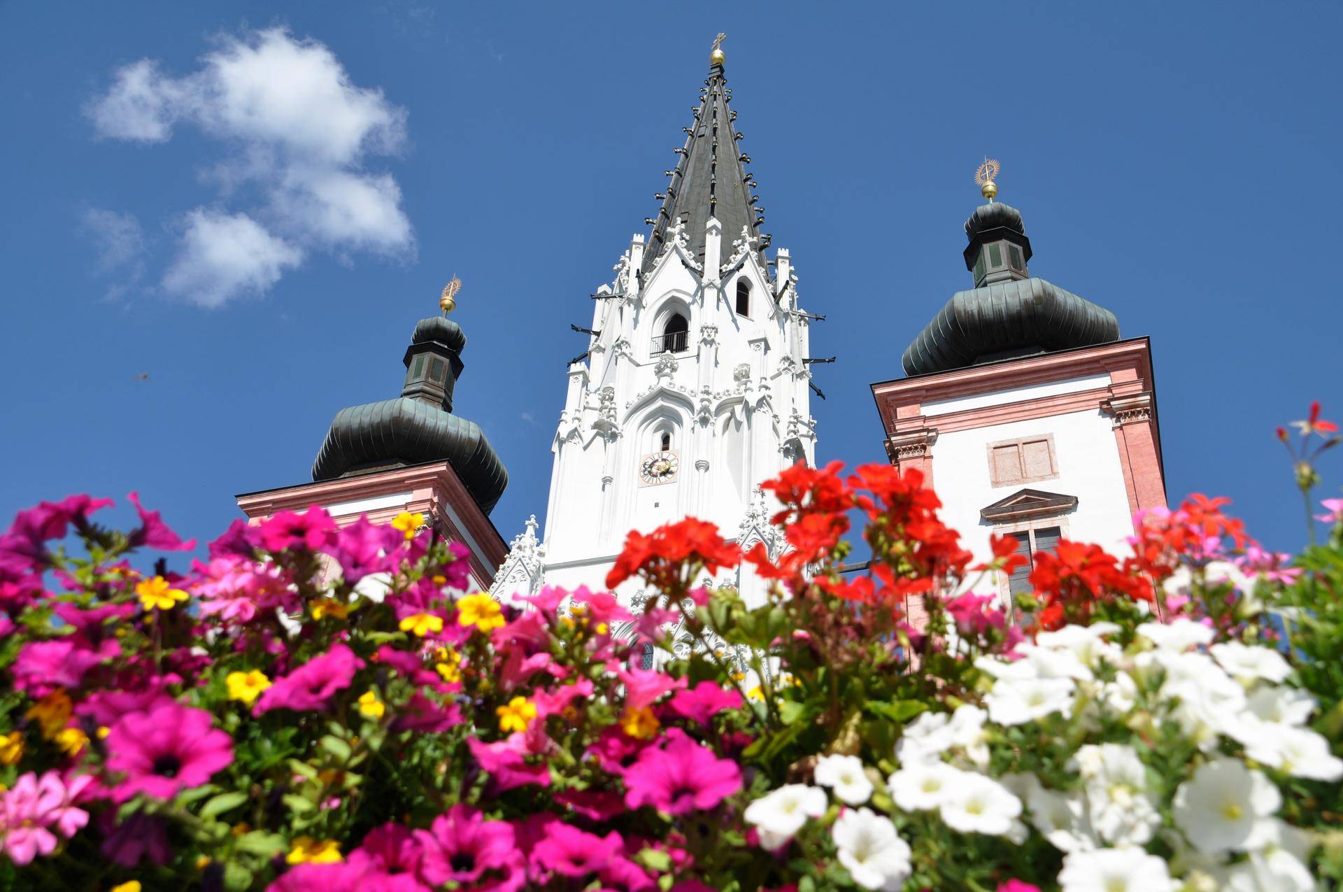 Basilika Mariazell Blumen