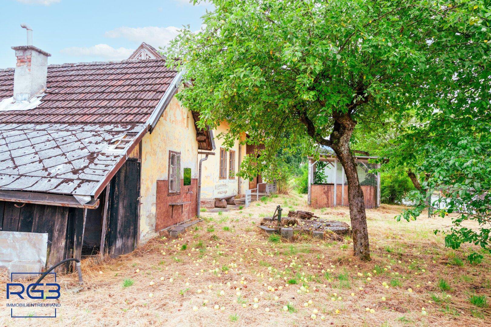 Altes Gebäude mit renovierungsbedürftigem Dach und Obstbäumen im Gartenbereich.