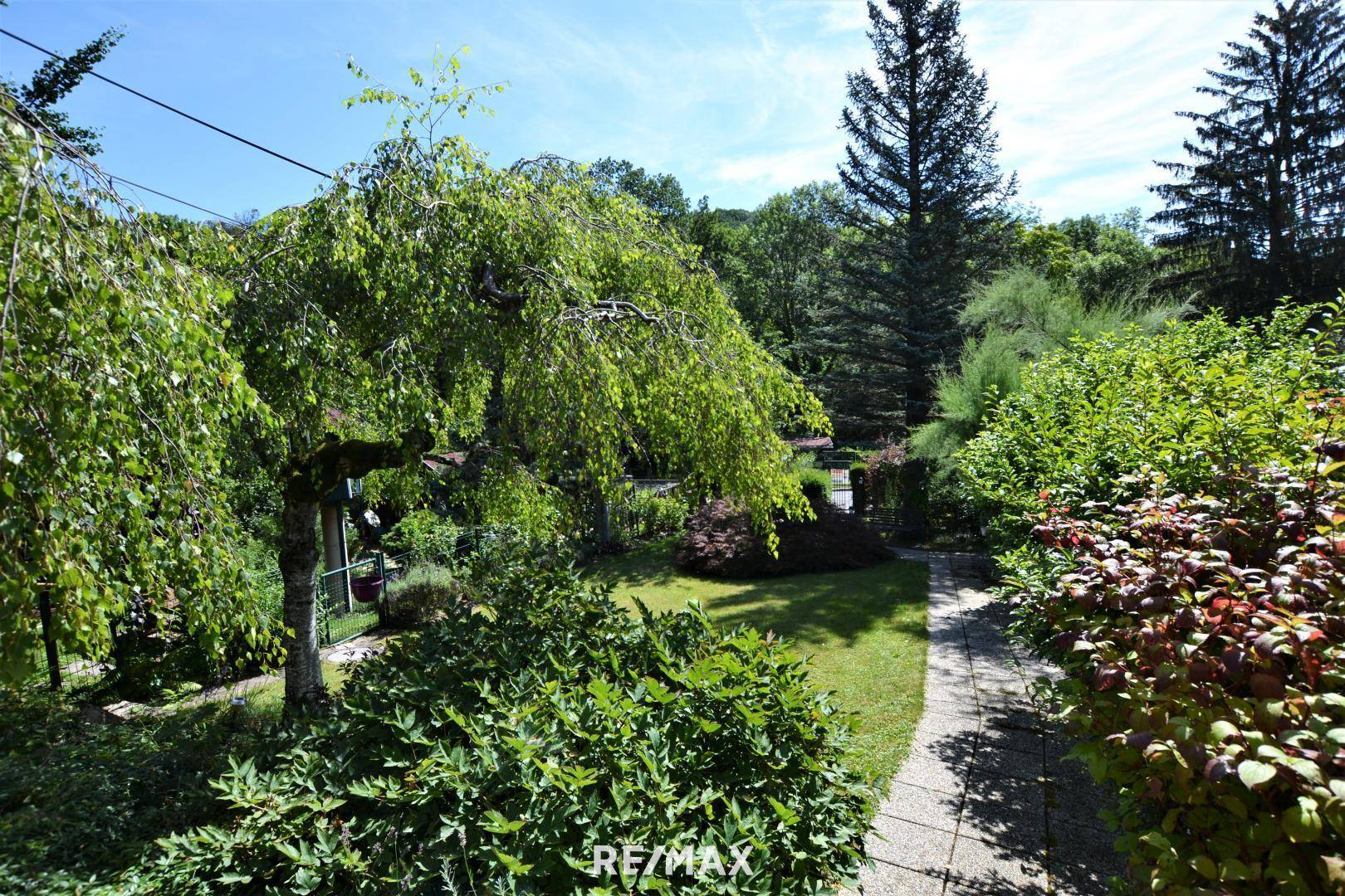 Garten (Blick Richtung Straße)