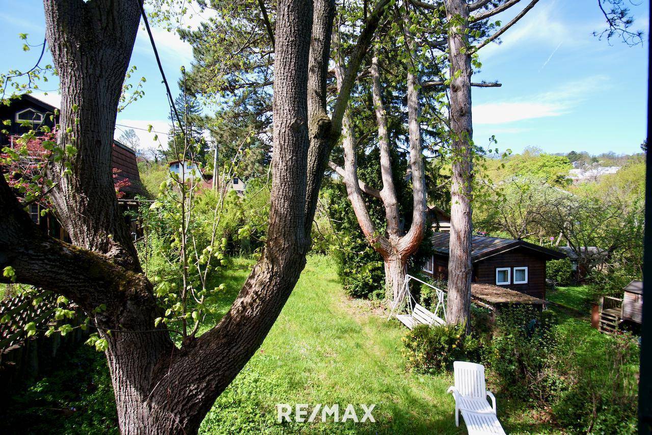Gartenblick vom Haus