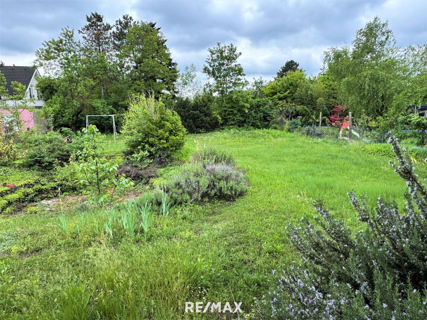 Blick in den Garten