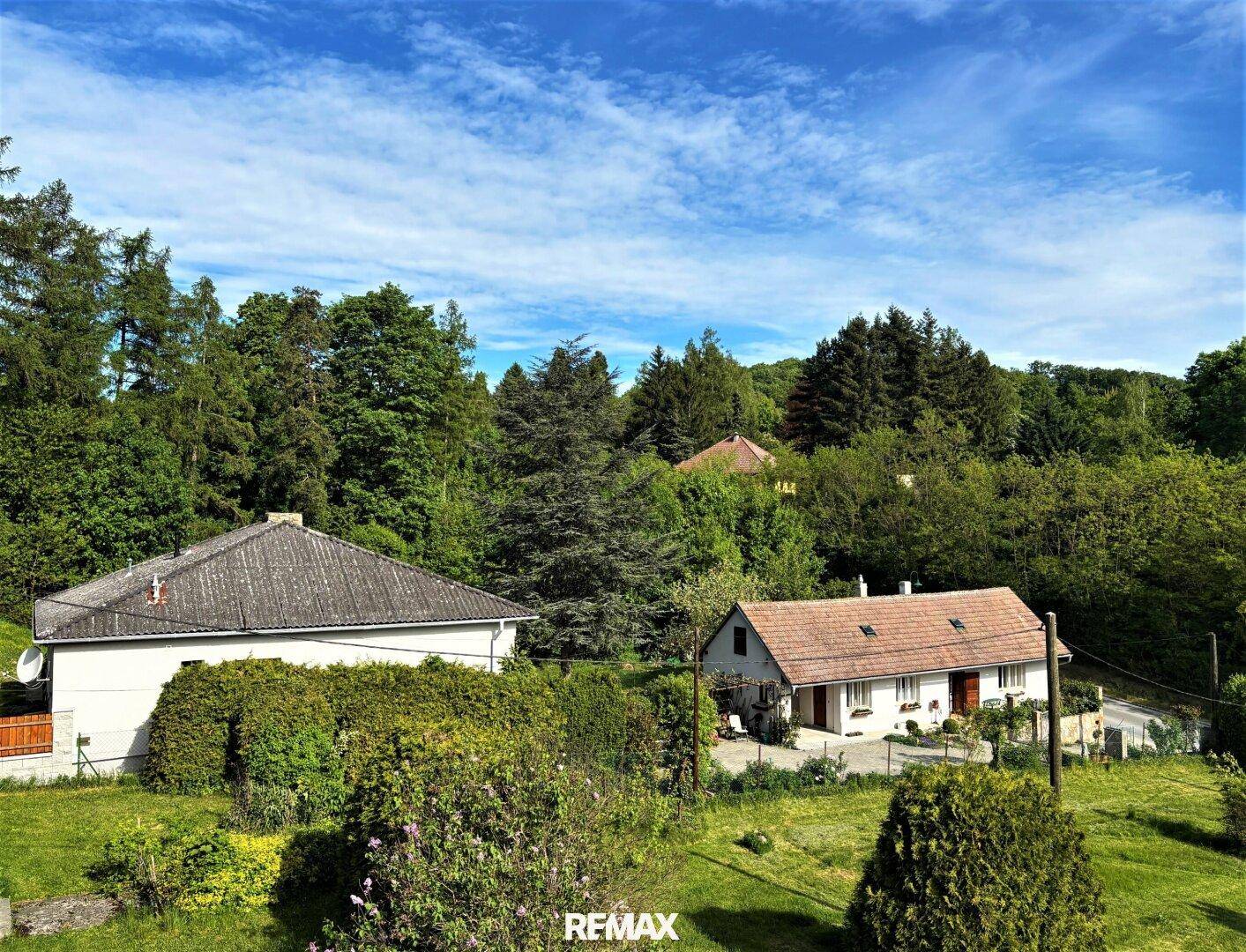 Weitläufige Landschaft mit mehreren Häusern und üppiger Vegetation unter blauem Himmel.