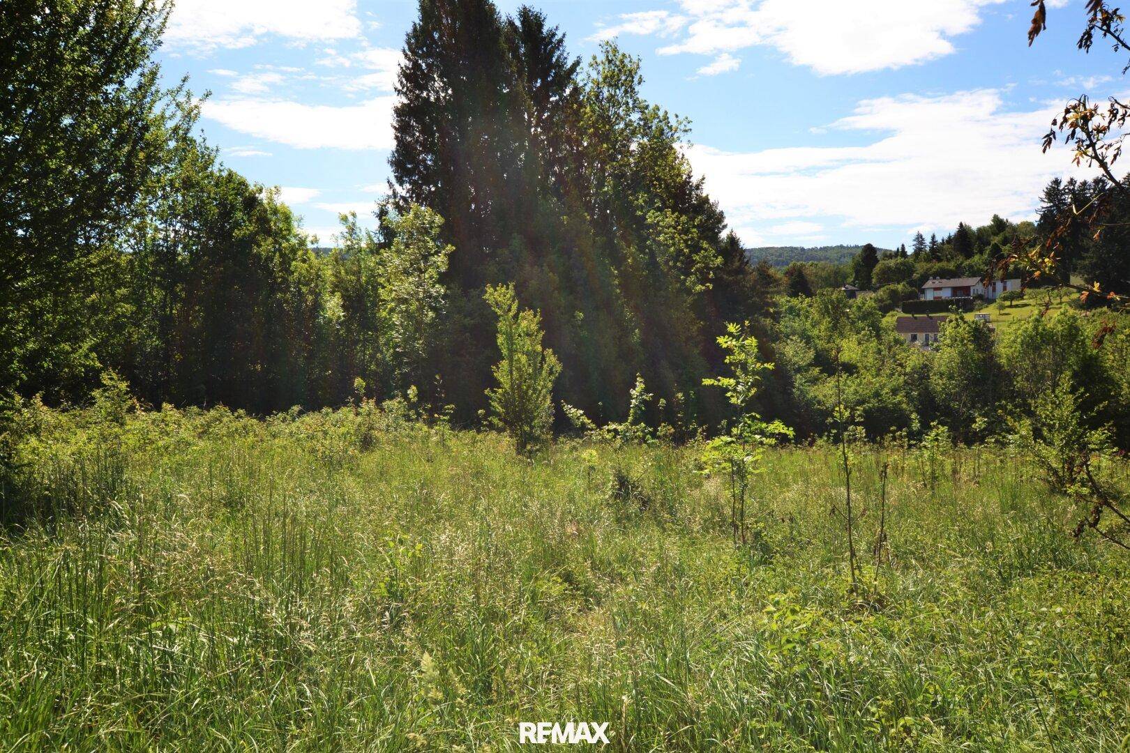 Weitläufige grüne Wiesenlandschaft mit Bäumen und Häusern in der Ferne unter blauem Himmel.