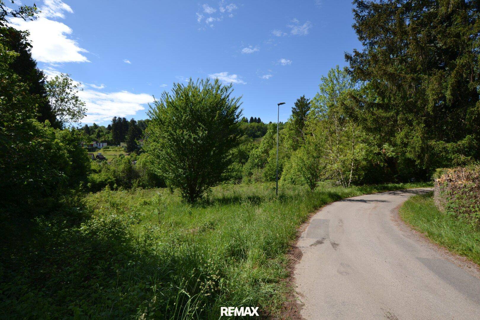 Asphaltierte Landstraße führt durch eine grüne Landschaft mit Bäumen und Wiesen.