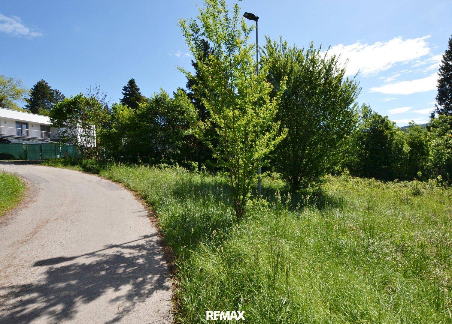 Landstraße mit angrenzender Wiese und Bäumen, im Hintergrund ein Wohngebäude sichtbar.